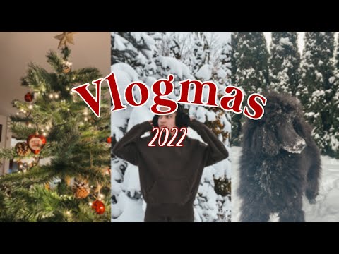 VLOGMAS 2022 / przygotowania do Świąt, pieczemy ciasteczka🍪