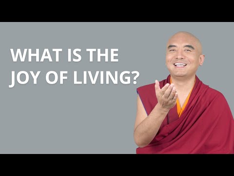 What Is the Joy of Living, And How Can it Help Me?