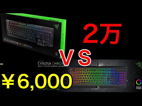 【買わなきゃよかった】激安レイザ―キーボードVS高級レイザ―キーボード　「Razer CYNOSA CHROMA」VS「Razer　BLACKWIDOW X CHROMA」　けんゆう