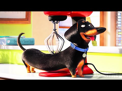 All the CUTEST Animals from The Secret Life of Pets 🌀 4K