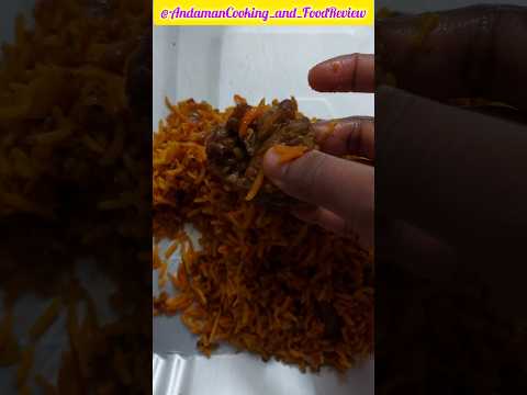 Excel Restaurant Fish Biryani Food Review #andaman #fish #biryani #review #shorts #youtubeshorts