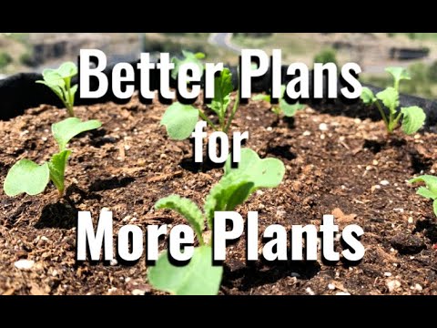 Apartment Gardening: Save money with a 4 step garden plan!