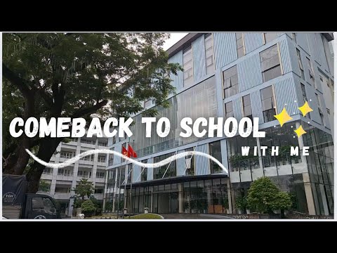 Comeback to school with me | Sinh viên năm 2,  xa gia đình, trở lại kí túc xá, vệ sinh phòng