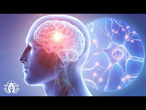 Alpha Waves Heal Damage in the Body | Massage The Whole Body, Regeneration Aging Cells, 528 Hz