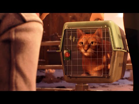 Life is Strange Double Exposure - Secret Cat Ending