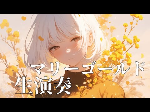 【off vocal】マリーゴールド / あいみょん - 【生演奏カラオケ】 #はぎぴあの