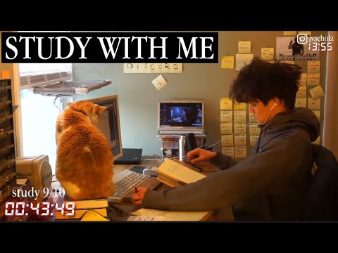 study with me live pomodoro | 12 hours