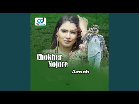 Chokher Nojore