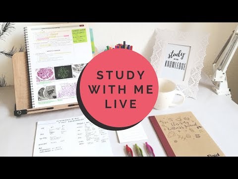 Live Study with Me | 45 min pomodoro sessions