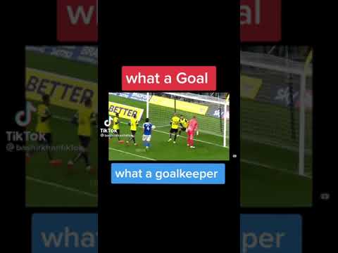 what A goal || what a Gollkeeper ||😝