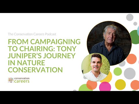 Podcast | From campaigning to chairing: Tony Juniper’s journey in nature conservation