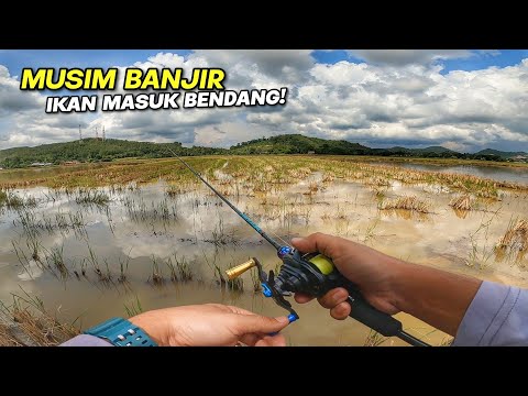 BERATUS HARUAN Dalam Sawah Bendang Ini