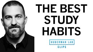 The Top Study Habits to Improve Learning | Dr Andrew Huberman