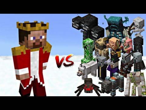 Minecraft: All Mobs vs The King! EPIC Battle Royale ⚔️💀