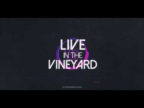 Live In The Vineyard: Magic Giant Exclusive Interview and Live Performance of "Window"