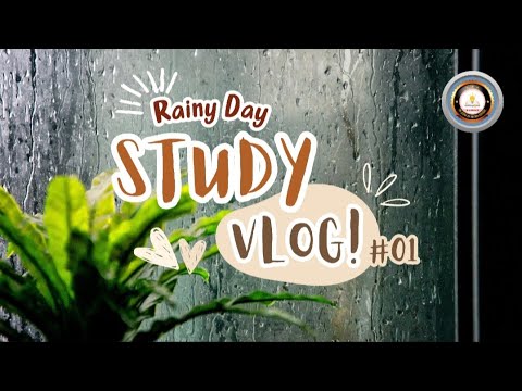 Rainy Day STUDY VLOG. One day vlog in rainy day. This is rainy day study related vlog.📑🕒🧠