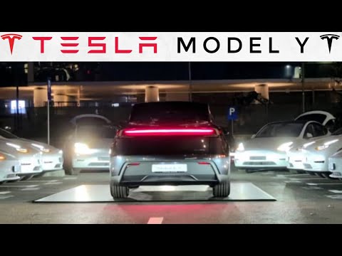 Exclusive 2026 Tesla Model Y Launch | Never Seen Before | Grand Welcome | Tesla Updates