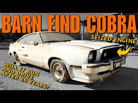 ABANDONED King Cobra Mustang - WILL IT RUN and Drive After 26 Years?