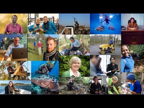 Webinar | How to Apply for Any Conservation Job