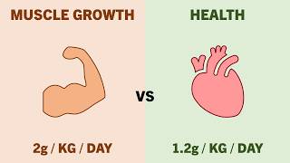 How Much Protein Should You Eat?