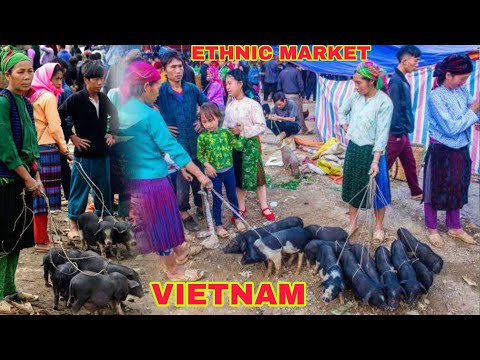 Visited Bac Ha Tribal Market in Vietnam. Bac Ha Sunday Market