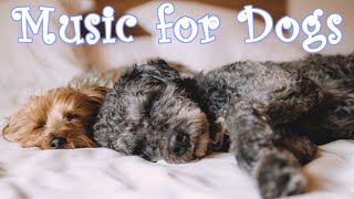 ❤ 4 HOURS ❤ Canon in D for Dogs | Best Relax Version ♫♫♫ Classical Music for Dogs ♫♫♫