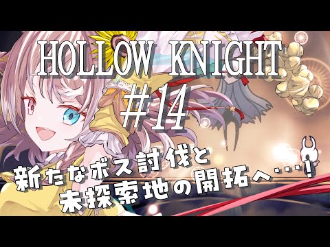 【Hollow Knight #14】新たなボス討伐と見探索地の開拓へ！アクション下手が挑むHollow Knight #新人vtuber #vtuber #個人勢vtuber