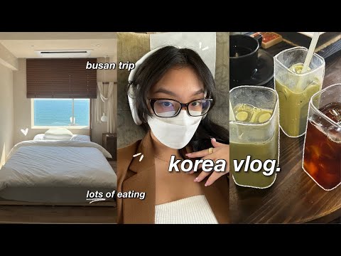 KOREA VLOG ☁️ cute cafes, train to busan, what i eat in korea, airbnb tour and girls trip