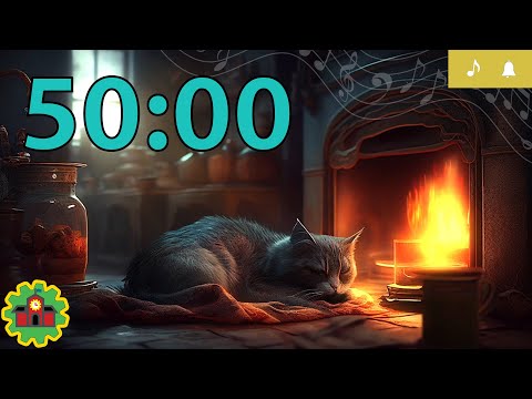 50 Minute Timer COZY CAT RELAXING with Music and Alarm