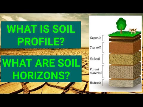 Soil Profile | Soil horizons