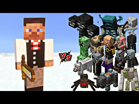 Minecraft: ALL Mobs vs WAITER STEVE! (Epic Battle)