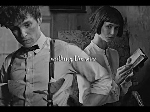 Newt & Tina (fantastic beasts) | walking the wire