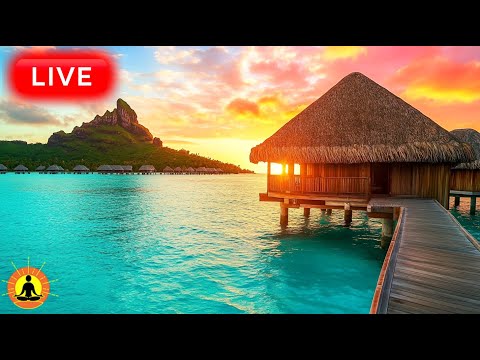 🔴 Relaxing Music 24/7, Stress Relief Music, Sleep Music, Meditation Music, Study, Calming Music