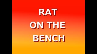 RAT ON THE BENCH　終