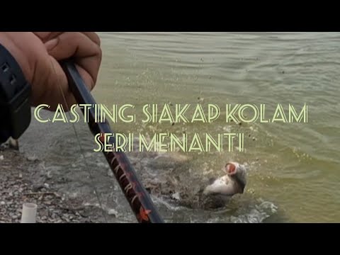 casting siakap kolam....