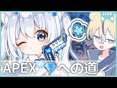 〖apex〗デュオランク💎今日はプラチナ1になれるかな？with🐯♂〖#vtuber / #猫海ましろ /#初見さん大歓迎〗