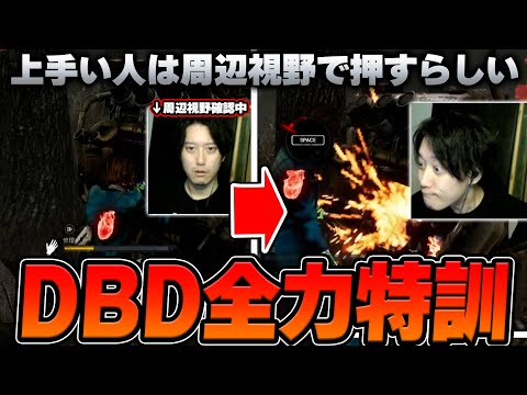 【DBD】初心者ながら全力で楽しんでVERSUSに向けて個人特訓する布団ちゃん【2025/2/8】