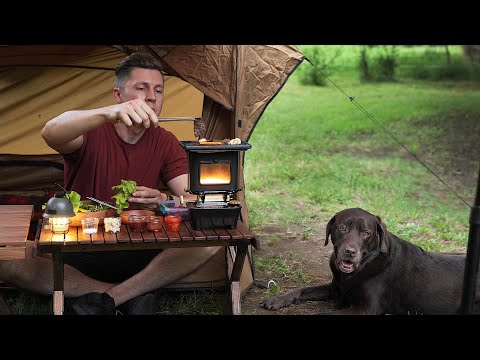 Solo Camping [ Korean BBQ on a Sad Iron Stove | creek and rain forest views with Dog | ASMR ]