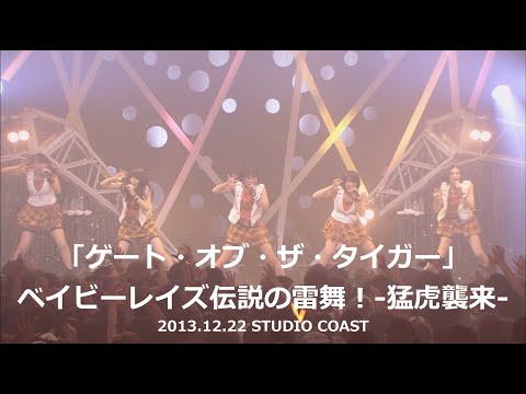 ベイビーレイズ「ゲート・オブ・ザ・タイガー」from ベイビーレイズ伝説の雷舞！-猛虎襲来- (2013.12.22 STUDIO COAST)