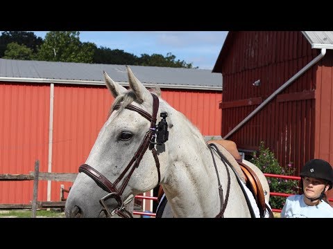 EquineView  - Stabilized camera