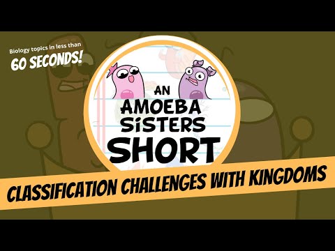 Classification Challenges with Kingdoms - Amoeba Sisters #Shorts