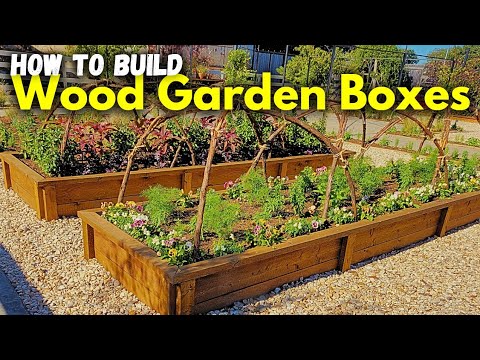 How to Build Raised Bed Garden Boxes: The Best Woods to Use and Other Useful Tips