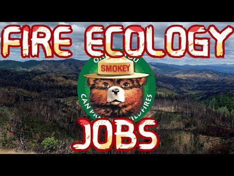 Fire Ecology Jobs and Job Tips - Ecology Jobs & Internships