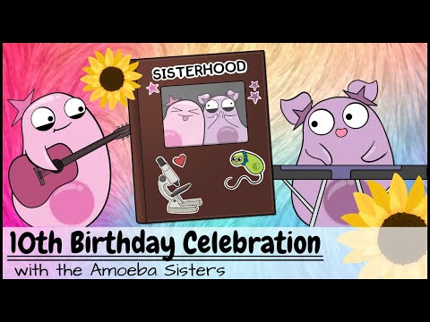 Amoeba Sisters 10 Years Birthday Celebration