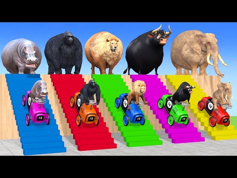 Long Slide Game With Cow Elephant Gorilla Hippopotamus Tiger - 3d Animal Game - Funny 3d Animals