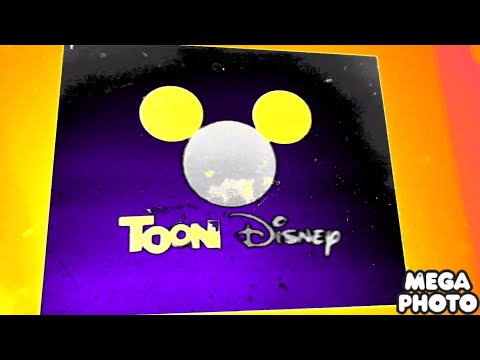 Toon Disney Purple IDs