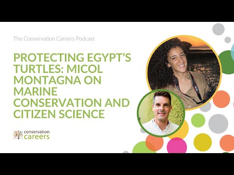 Protecting Egypt’s Turtles: Micol Montagna on Marine Conservation and Citizen Science