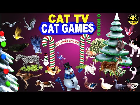 VIDEO FOR CATS & DOGS CHRISTMAS SPECIAL | VIDEO FOR PETS ENTERTAINMENT 4K 60-FPS 8-HOURS | 🐱