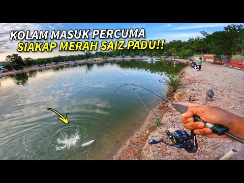 KOLAM MEMANCING MASUK Percuma Ada Ikan Monster!!