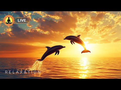 🔴 Relaxing Music for Deep Focus & Meditation 24/7 🍃2535 - Music for Study | Improve Concentration